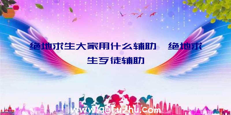 绝地求生大家用什么辅助、绝地求生歹徒辅助