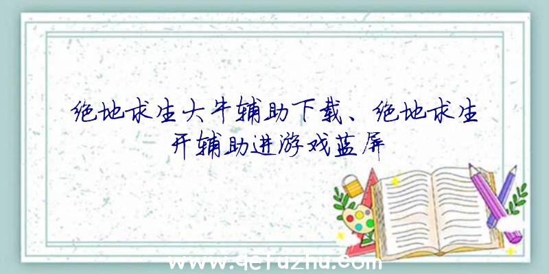 绝地求生大牛辅助下载、绝地求生开辅助进游戏蓝屏