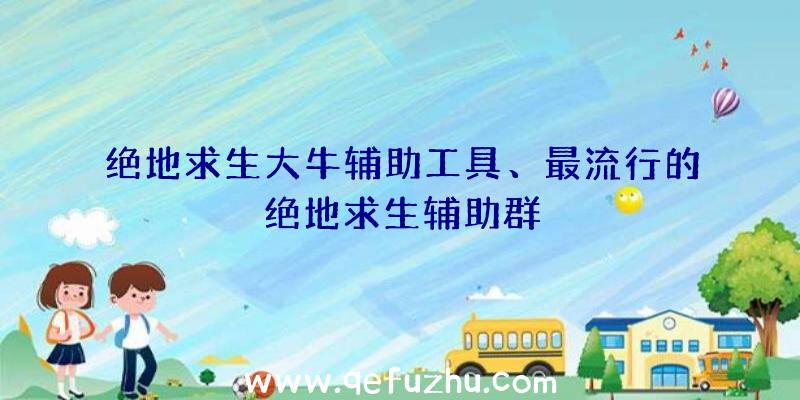 绝地求生大牛辅助工具、最流行的绝地求生辅助群