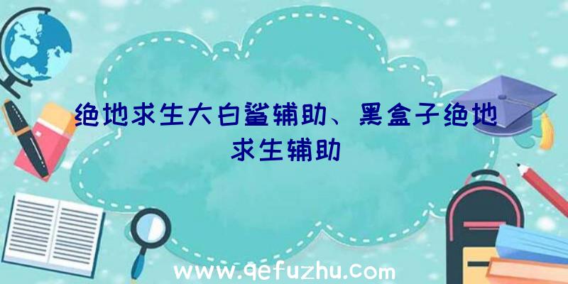 绝地求生大白鲨辅助、黑盒子绝地求生辅助