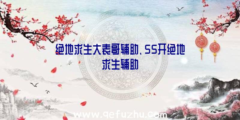 绝地求生大表哥辅助、55开绝地求生辅助