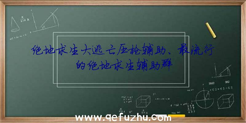 绝地求生大逃亡压枪辅助、最流行的绝地求生辅助群