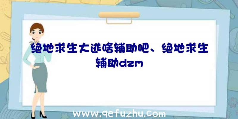 绝地求生大逃啥辅助吧、绝地求生辅助dzm