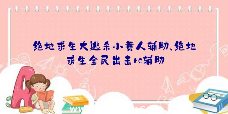 绝地求生大逃杀小黄人辅助、绝地求生全民出击pc辅助