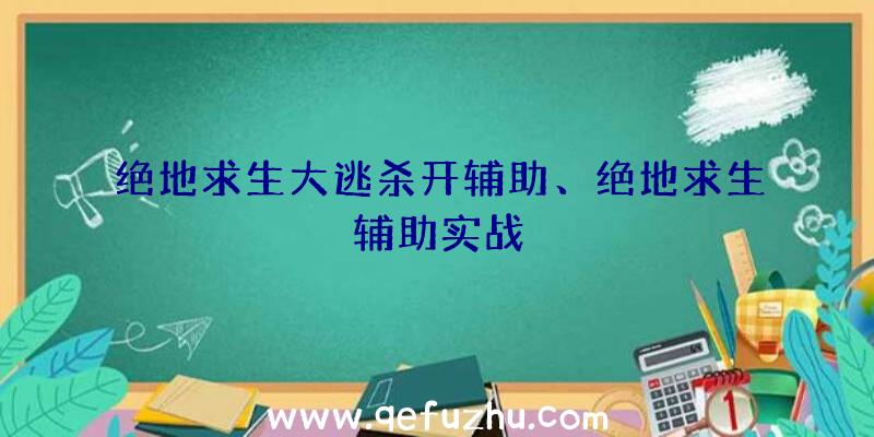 绝地求生大逃杀开辅助、绝地求生辅助实战