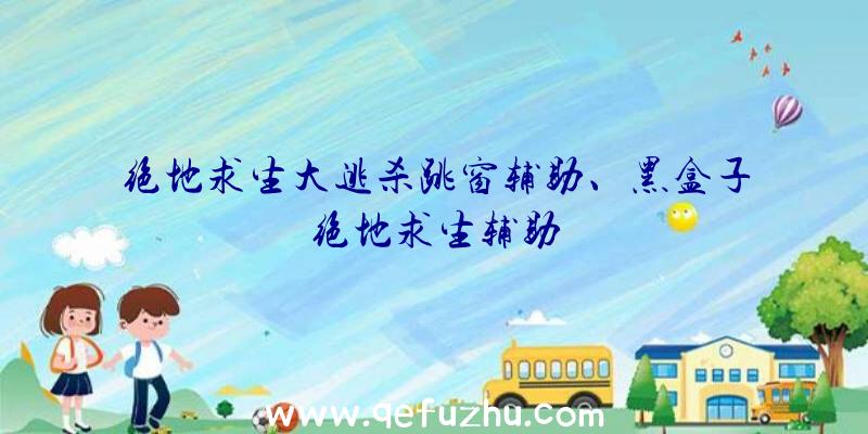 绝地求生大逃杀跳窗辅助、黑盒子绝地求生辅助