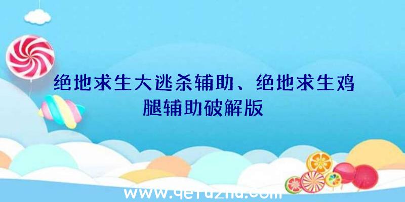 绝地求生大逃杀辅助、绝地求生鸡腿辅助破解版