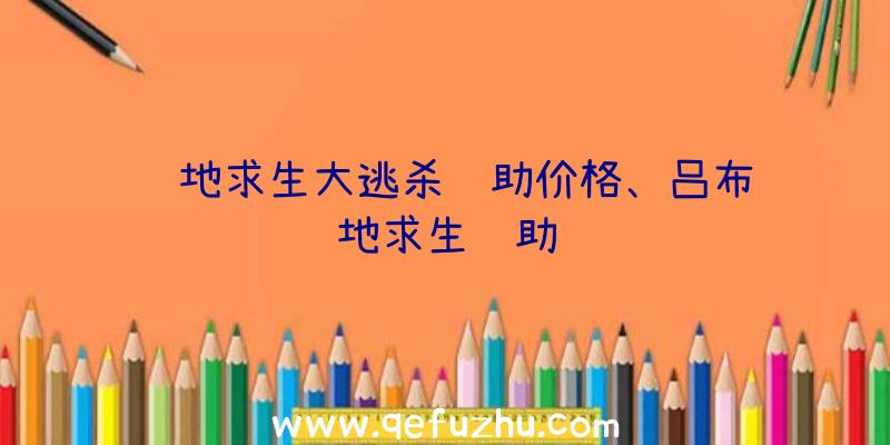 绝地求生大逃杀辅助价格、吕布绝地求生辅助