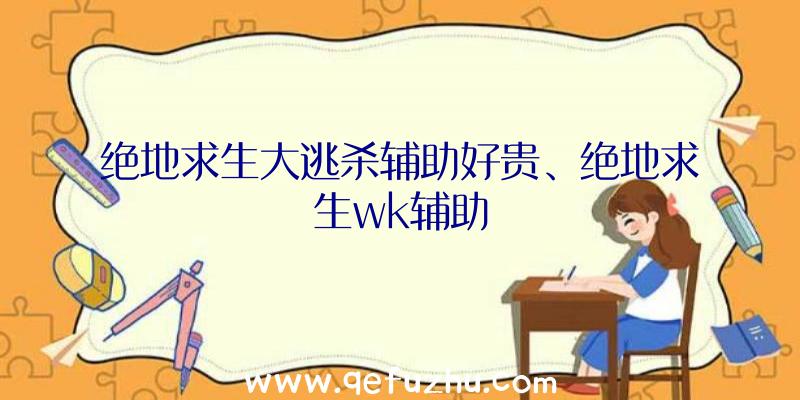 绝地求生大逃杀辅助好贵、绝地求生wk辅助