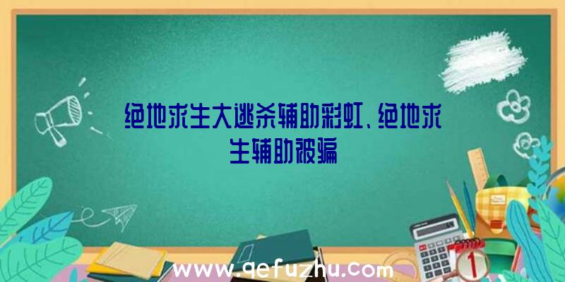 绝地求生大逃杀辅助彩虹、绝地求生辅助被骗