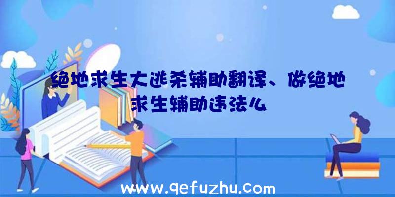 绝地求生大逃杀辅助翻译、做绝地求生辅助违法么