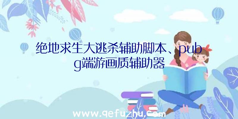 绝地求生大逃杀辅助脚本、pubg端游画质辅助器