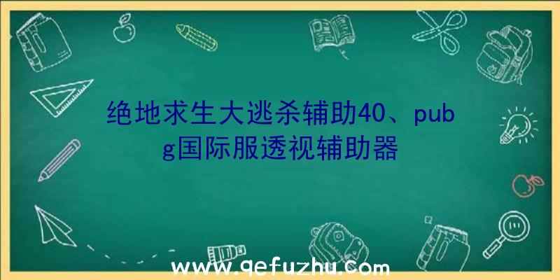 绝地求生大逃杀辅助40、pubg国际服透视辅助器