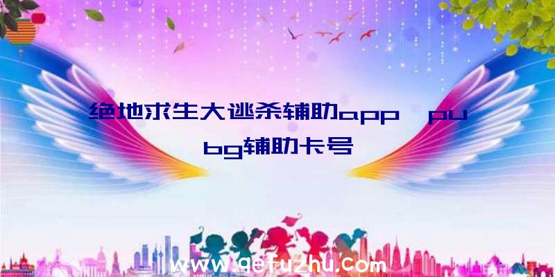 绝地求生大逃杀辅助app、pubg辅助卡号