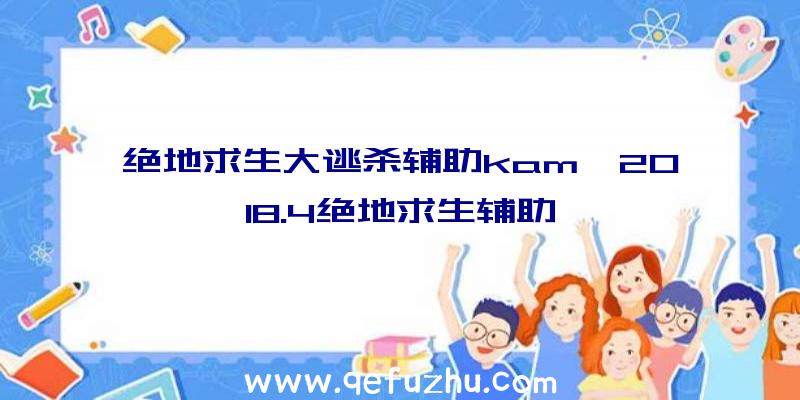 绝地求生大逃杀辅助kam、2018.4绝地求生辅助