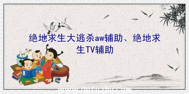 绝地求生大逃杀aw辅助、绝地求生TV辅助