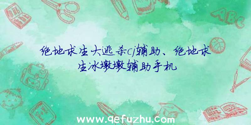 绝地求生大逃杀cj辅助、绝地求生冰墩墩辅助手机