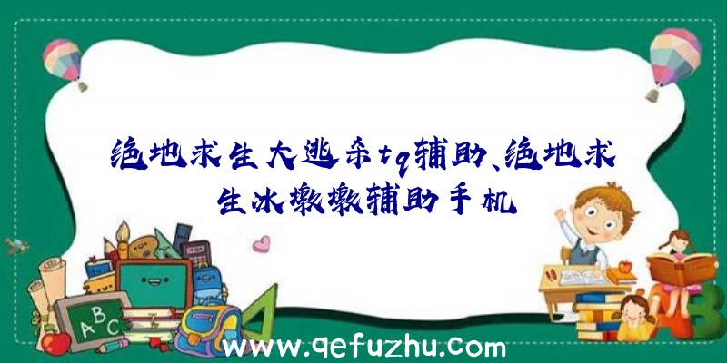 绝地求生大逃杀tq辅助、绝地求生冰墩墩辅助手机