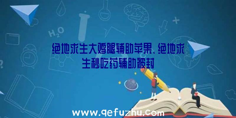 绝地求生大鸡腿辅助苹果、绝地求生秒吃药辅助被封