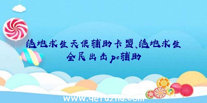 绝地求生天使辅助卡盟、绝地求生全民出击pc辅助