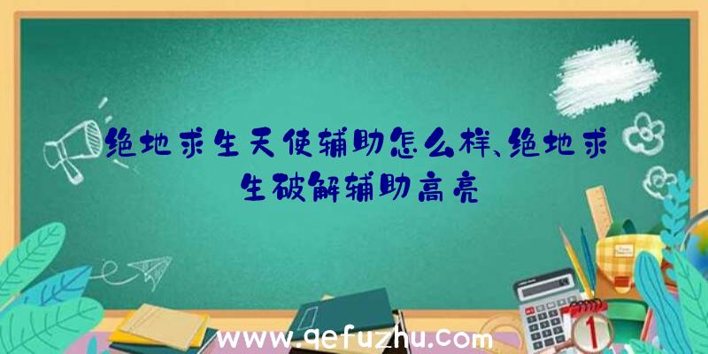 绝地求生天使辅助怎么样、绝地求生破解辅助高亮