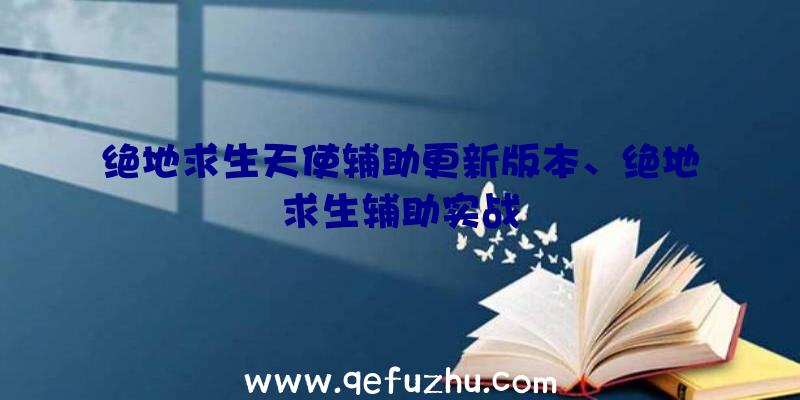 绝地求生天使辅助更新版本、绝地求生辅助实战