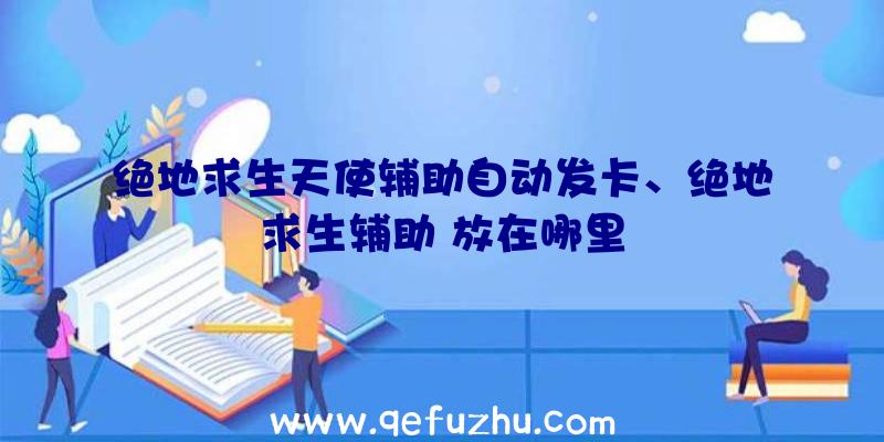 绝地求生天使辅助自动发卡、绝地求生辅助