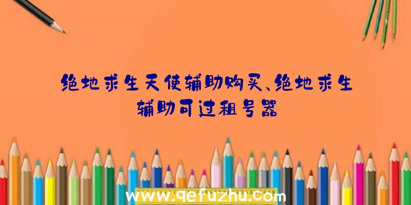 绝地求生天使辅助购买、绝地求生辅助可过租号器