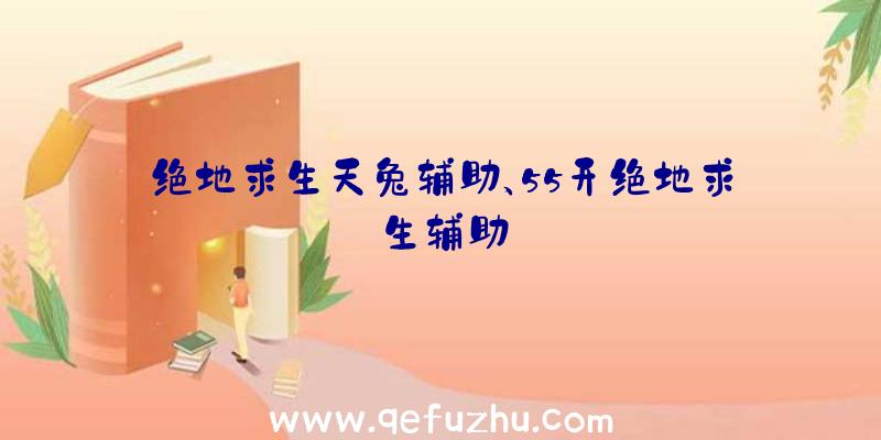 绝地求生天兔辅助、55开绝地求生辅助