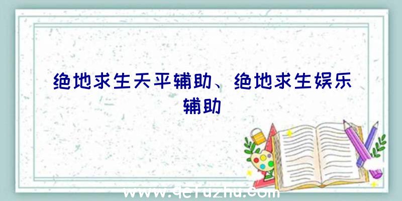 绝地求生天平辅助、绝地求生娱乐辅助