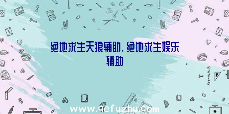 绝地求生天狼辅助、绝地求生娱乐辅助