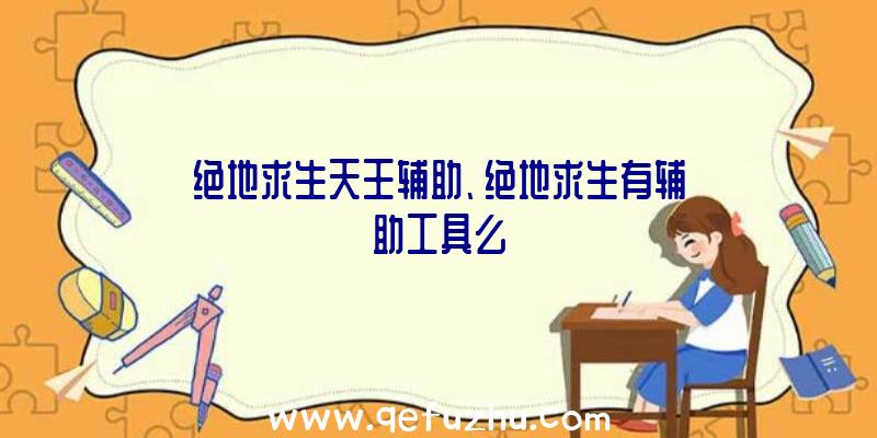 绝地求生天王辅助、绝地求生有辅助工具么