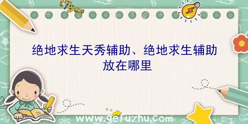 绝地求生天秀辅助、绝地求生辅助