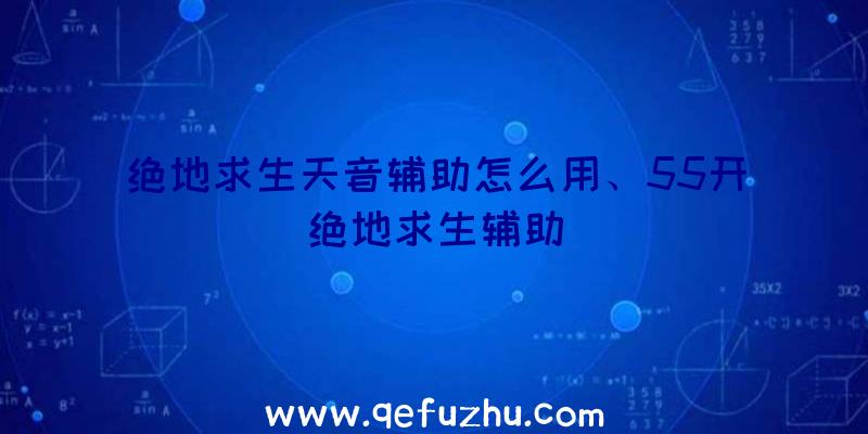 绝地求生天音辅助怎么用、55开绝地求生辅助