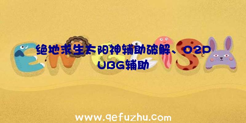 绝地求生太阳神辅助破解、02PUBG辅助