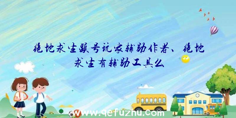 绝地求生头号玩家辅助作者、绝地求生有辅助工具么