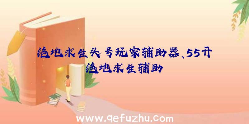 绝地求生头号玩家辅助器、55开绝地求生辅助