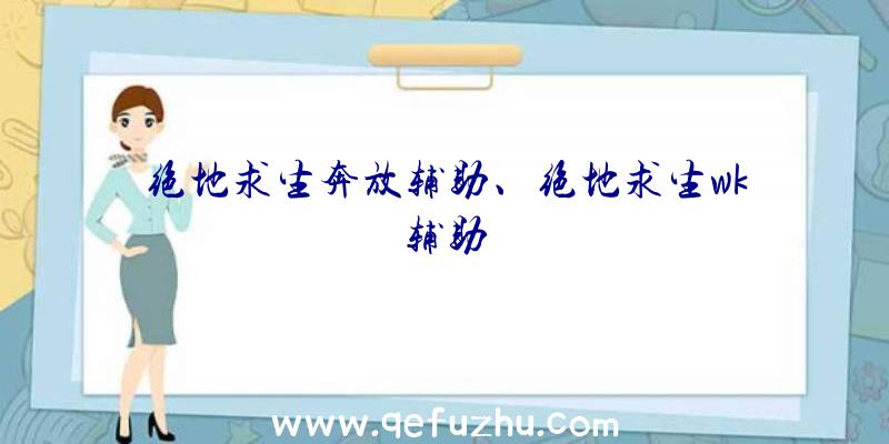 绝地求生奔放辅助、绝地求生wk辅助