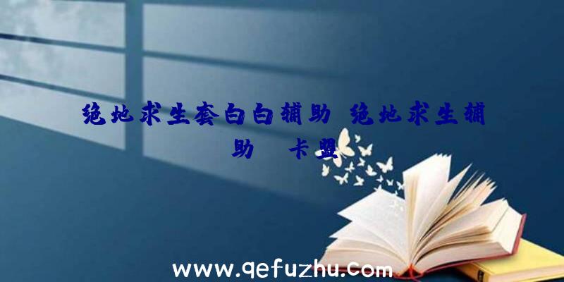 绝地求生套白白辅助、绝地求生辅助fz卡盟