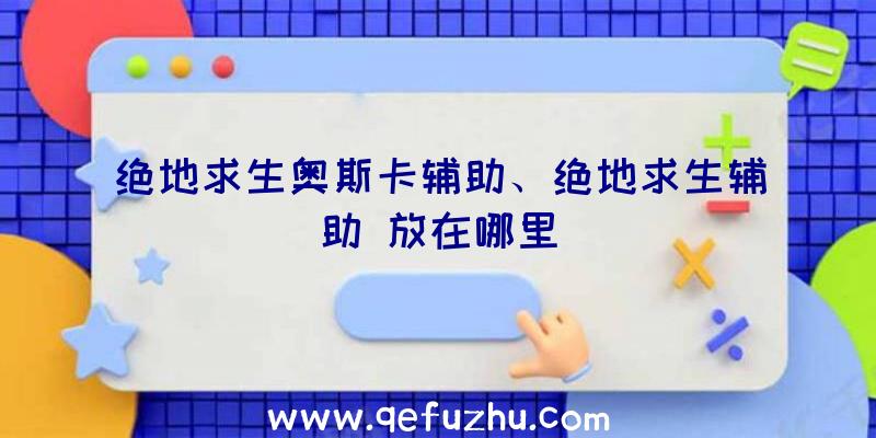 绝地求生奥斯卡辅助、绝地求生辅助