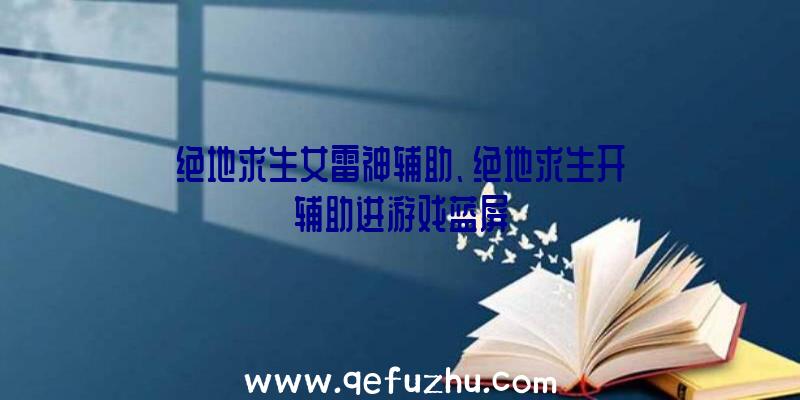 绝地求生女雷神辅助、绝地求生开辅助进游戏蓝屏