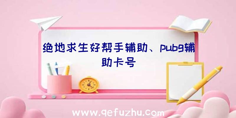 绝地求生好帮手辅助、pubg辅助卡号