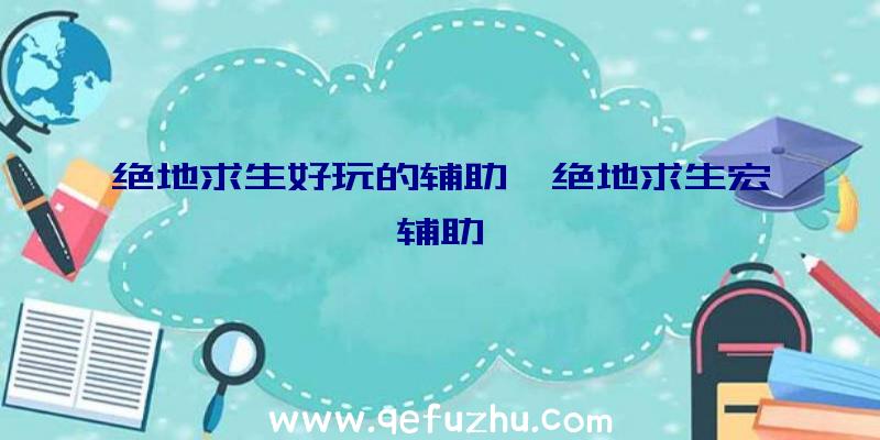 绝地求生好玩的辅助、绝地求生宏辅助