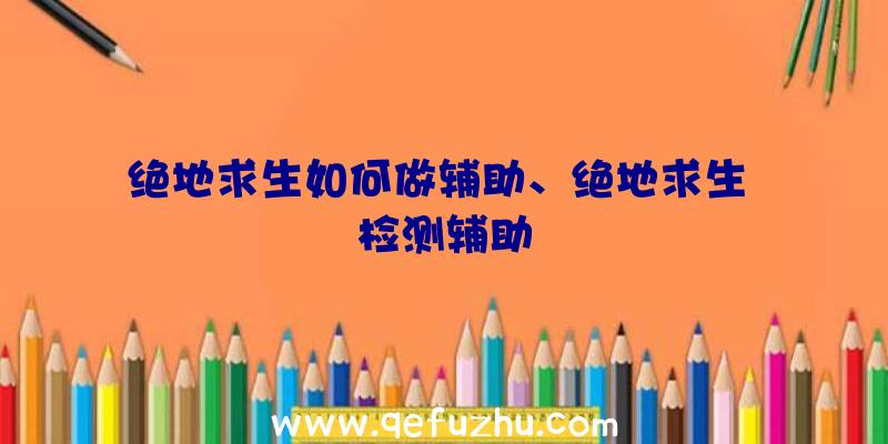 绝地求生如何做辅助、绝地求生