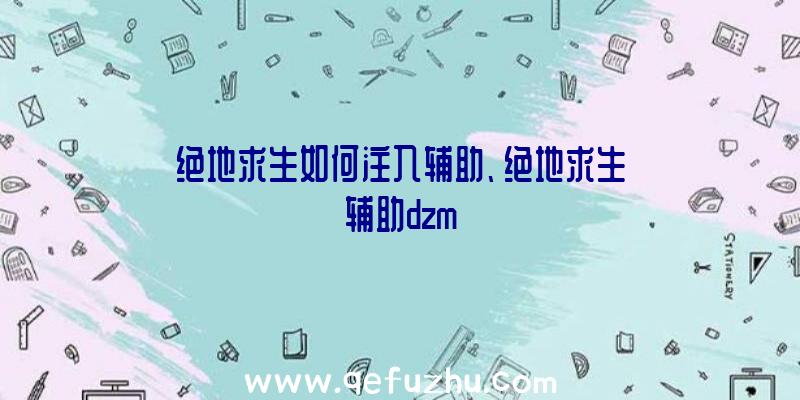 绝地求生如何注入辅助、绝地求生辅助dzm