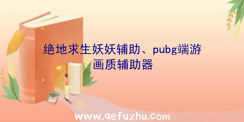 绝地求生妖妖辅助、pubg端游画质辅助器