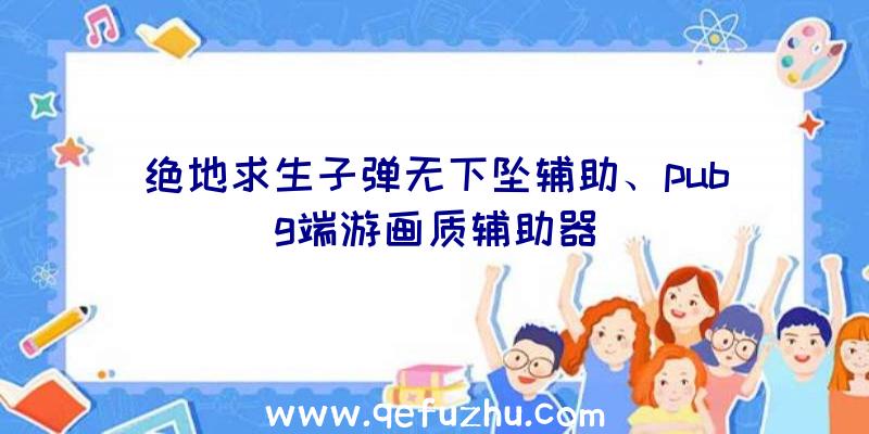 绝地求生子弹无下坠辅助、pubg端游画质辅助器