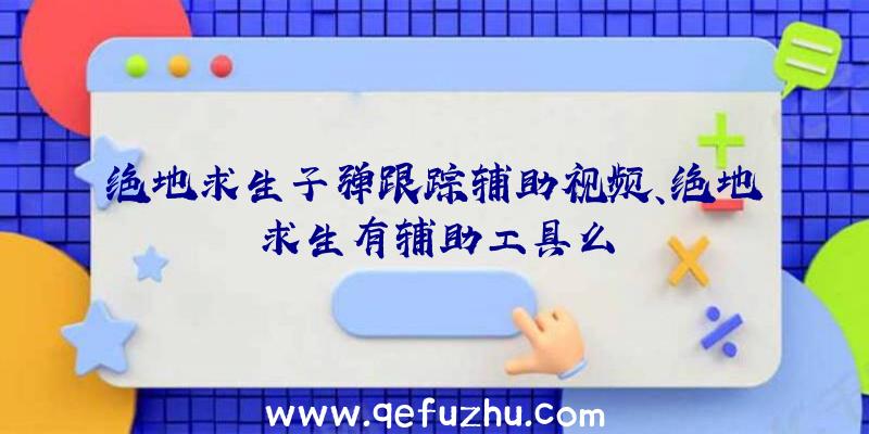 绝地求生子弹跟踪辅助视频、绝地求生有辅助工具么