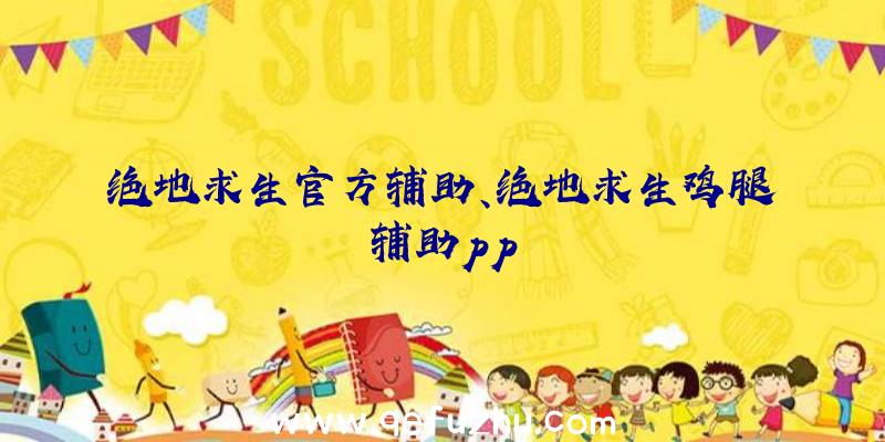 绝地求生官方辅助、绝地求生鸡腿辅助pp