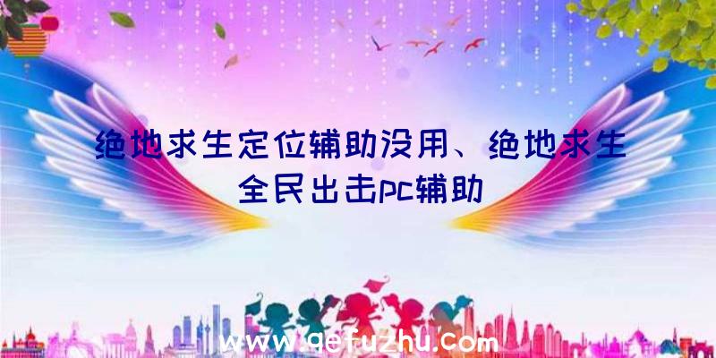 绝地求生定位辅助没用、绝地求生全民出击pc辅助